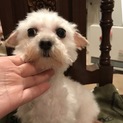 ご応募ありがとうございました。