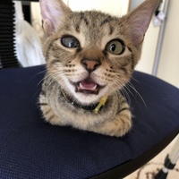 ラスク
