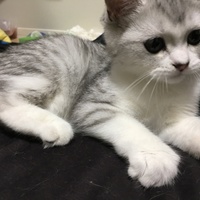 ぽんず