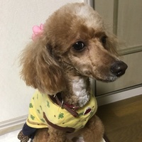 メロディー