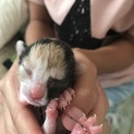 一生涯家族として迎えてくれる方  