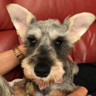 もの凄く怖がりな女の子。