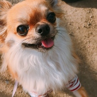 あずき