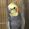 ヘロン07