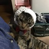なんか変なの被らされたけど^^;