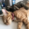 むぎ〜大好き❣️