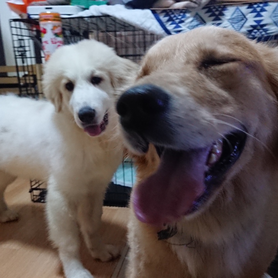 天海のカバー写真