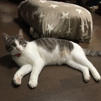 ぎゅ