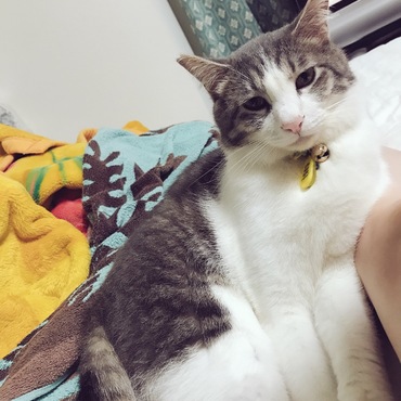 ぎゅの写真