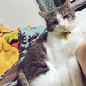 の写真