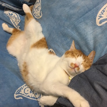 の写真