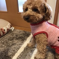メル