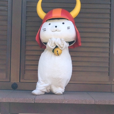 一応、ネコという事で...。