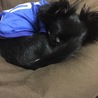 ちはるうらららおう