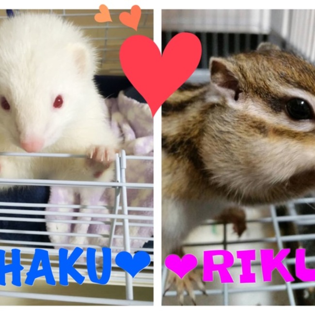 yuki46のカバー写真