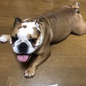 募集終了いたしました！