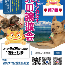 いのちのバトンわたす 犬の譲渡会(第7回)