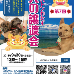 10/8(祝)に変更　いのちのバトンわたす　犬の譲渡会(第7回) サムネイル1