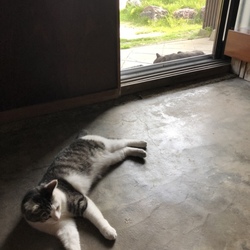 「部屋の温度」サムネイル3