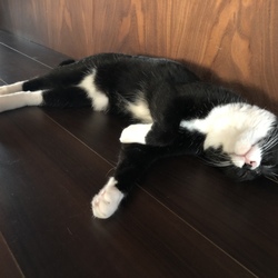 「部屋の温度」サムネイル2