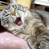 ねむいわ