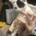可愛いやんちゃな男の子♡