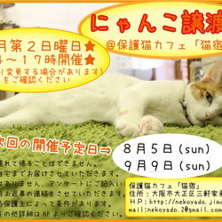 にゃんこ譲渡会