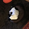 ビーズクッション大好き過ぎて
