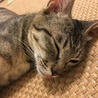 ベロでてる