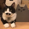 の写真