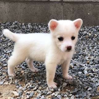 里親さま決まりました☆