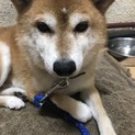とても大人しい男の子