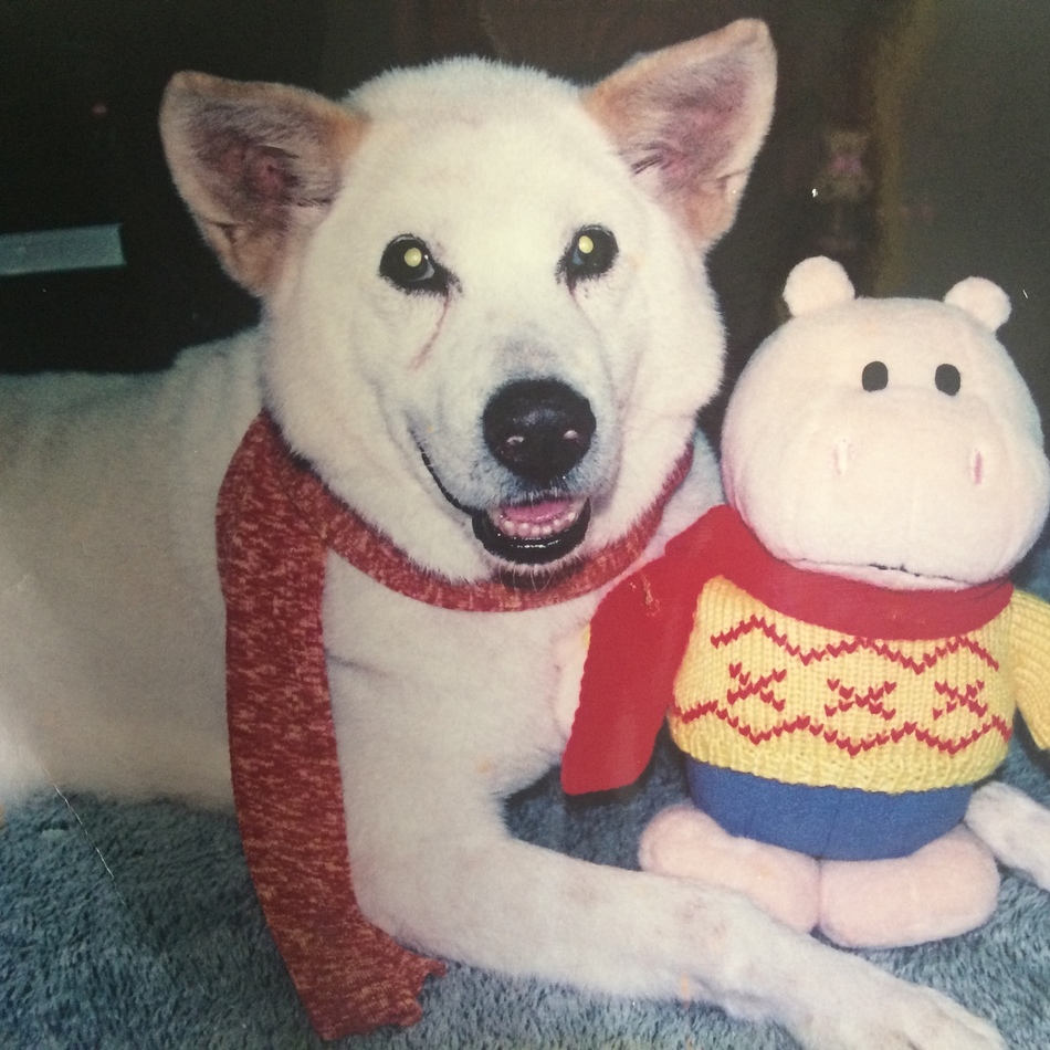 イソロウのカバー写真