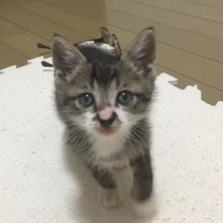 甘えん坊の男の子