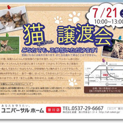保護猫の譲渡会&ミニフリマ
