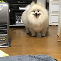 よろしくお願いします