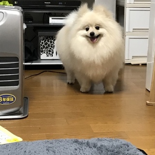 よろしくお願いします