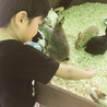 くぅるぽん