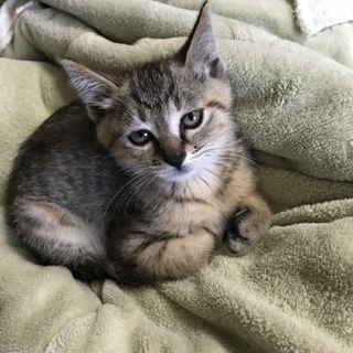 やんちゃな女の子