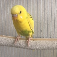 みーちゃん