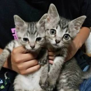 写真左の元気な男の子です