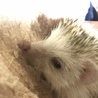  さん