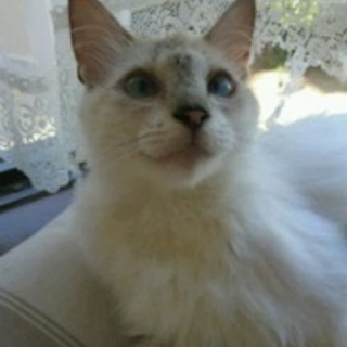 幸せなご縁をお待ちしておりますm(__)m