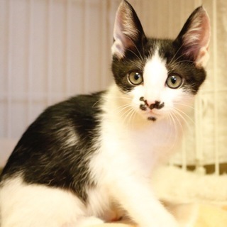 8/18池袋★イブちゃん★リオくんと一緒