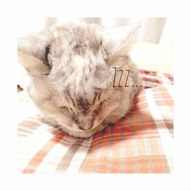 mmnkmrのカバー写真