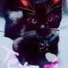 キリッ