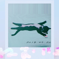 生後二ヶ月半でっす