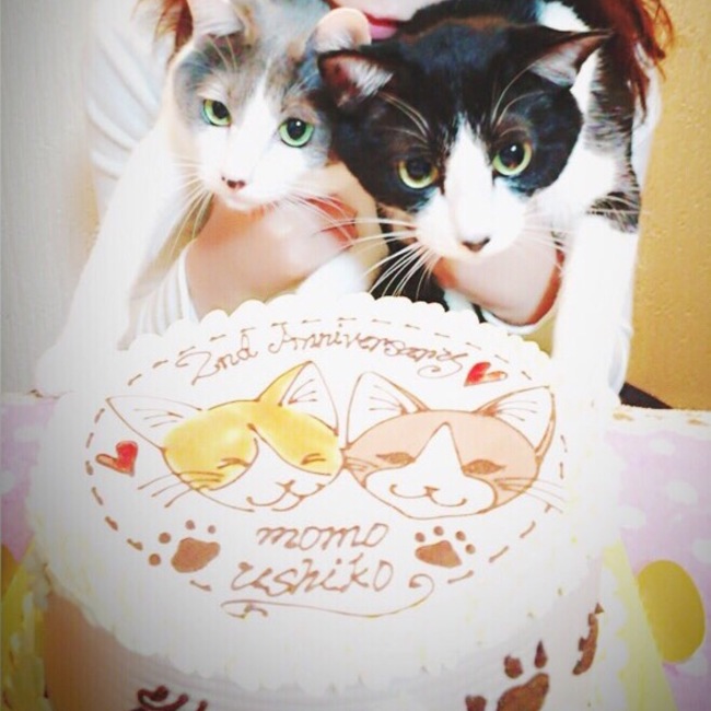 ももうしこ@のカバー写真