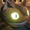 あひるっこ