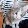 ぴっぴちゃん♡